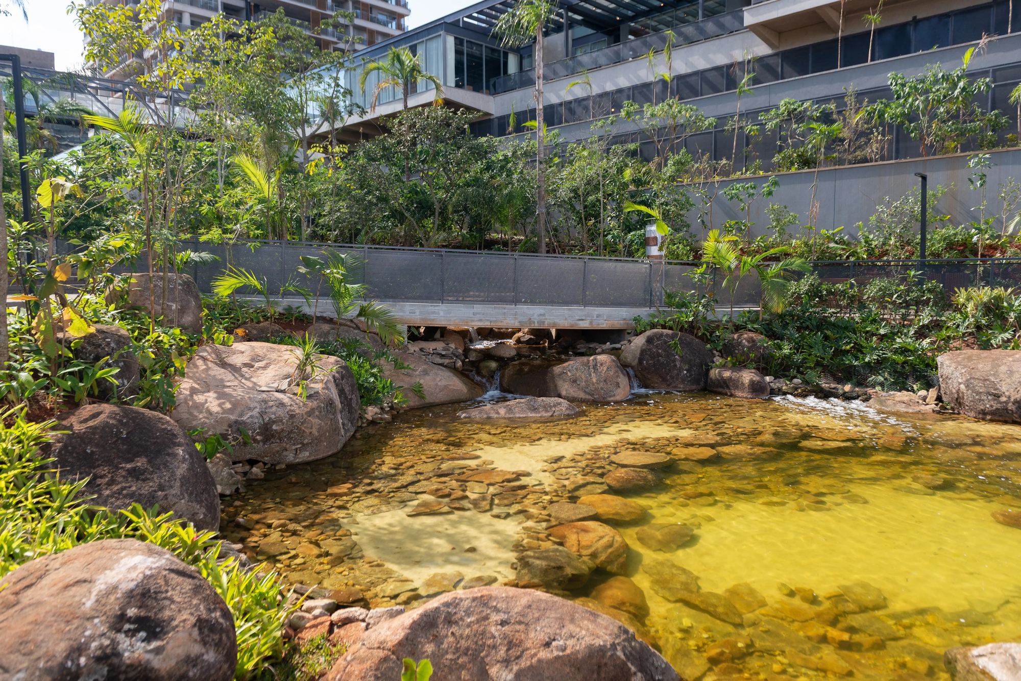 Espelho d'água com pedras e vegetação junto à arquitetura