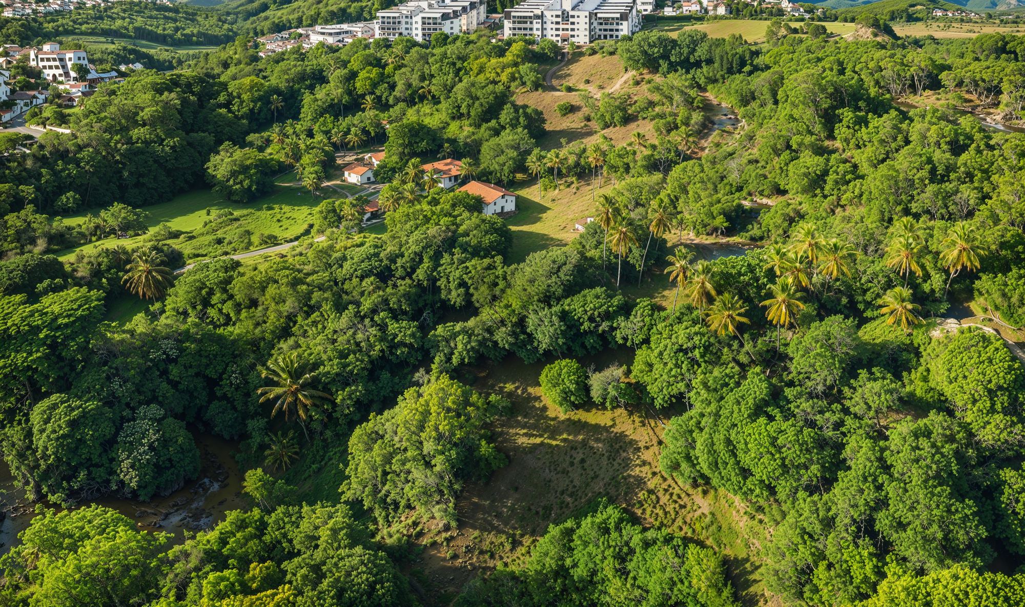 Vista aérea da mata preservada (APP) em torno do condomínio